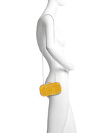 Honey | Jordan Acrylic Box Clutch Form