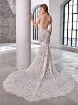 Felicity Back