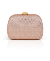 Champagne | Blossom Crystal Minaudière